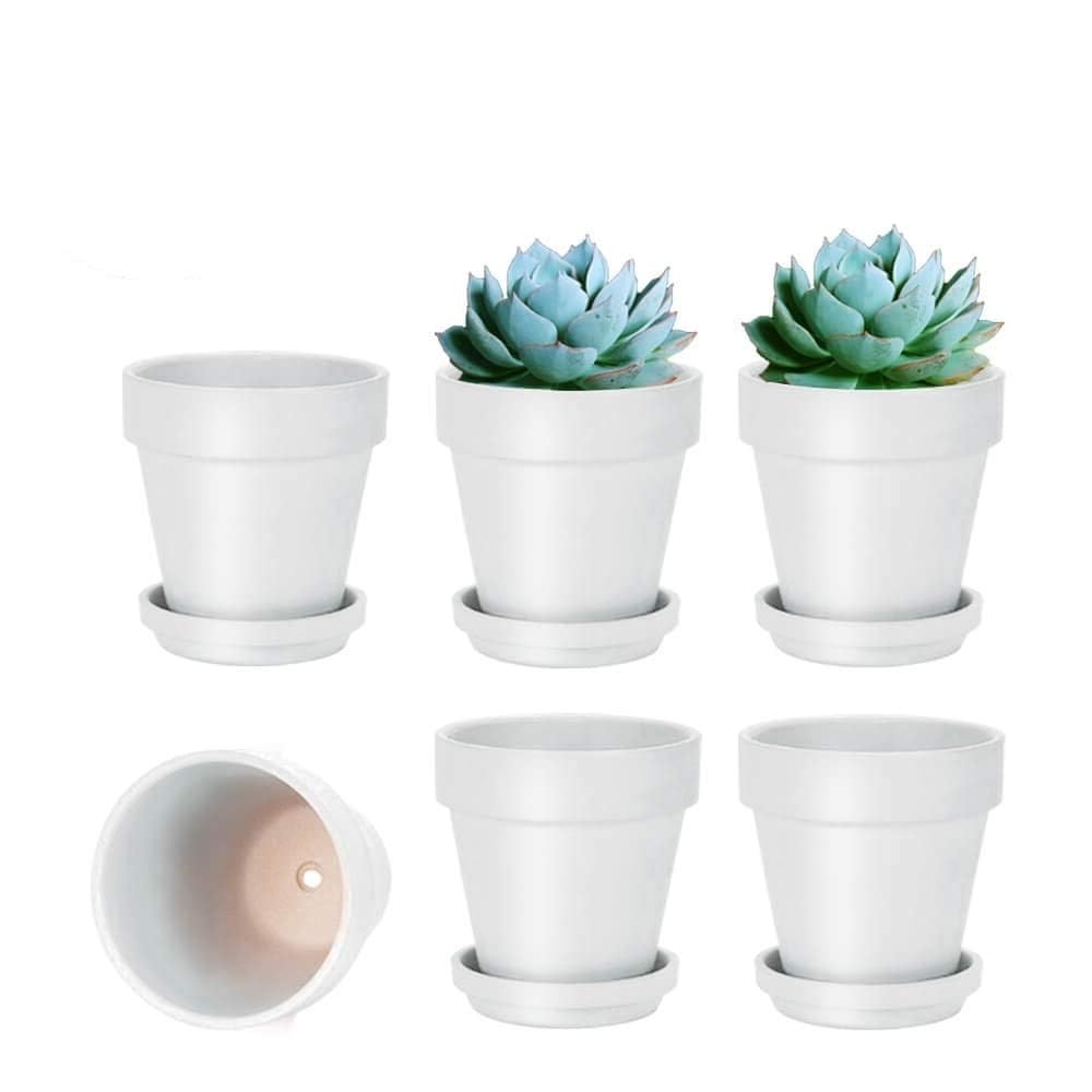 Vensovo White Clay Pots Review – 6 Pack Terracotta Planters with Saucers for Indoor Plants