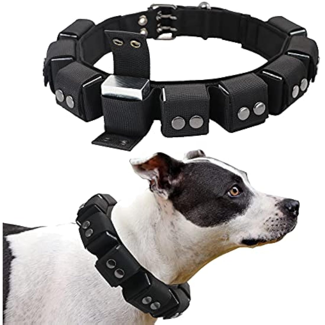 Train Smarter, Not Harder: Why the Walktime Tactical Weighted Dog Collar Is Every Active Dog Owner's Secret Weapon