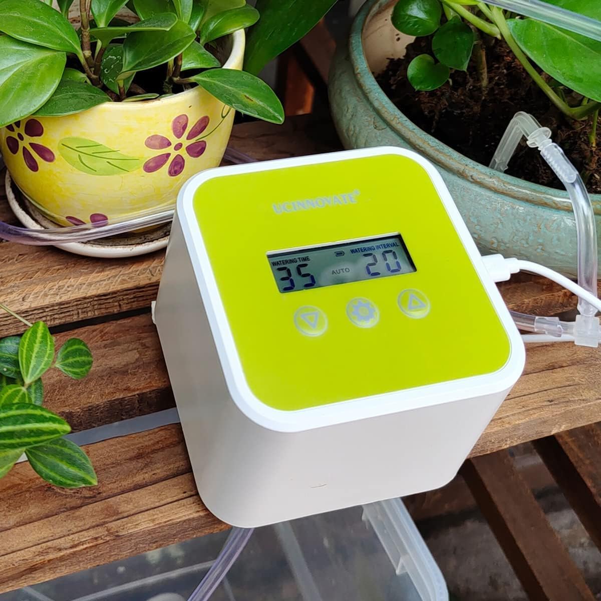 Never Kill a Houseplant Again: The WOWLED Automatic Drip Irrigation System