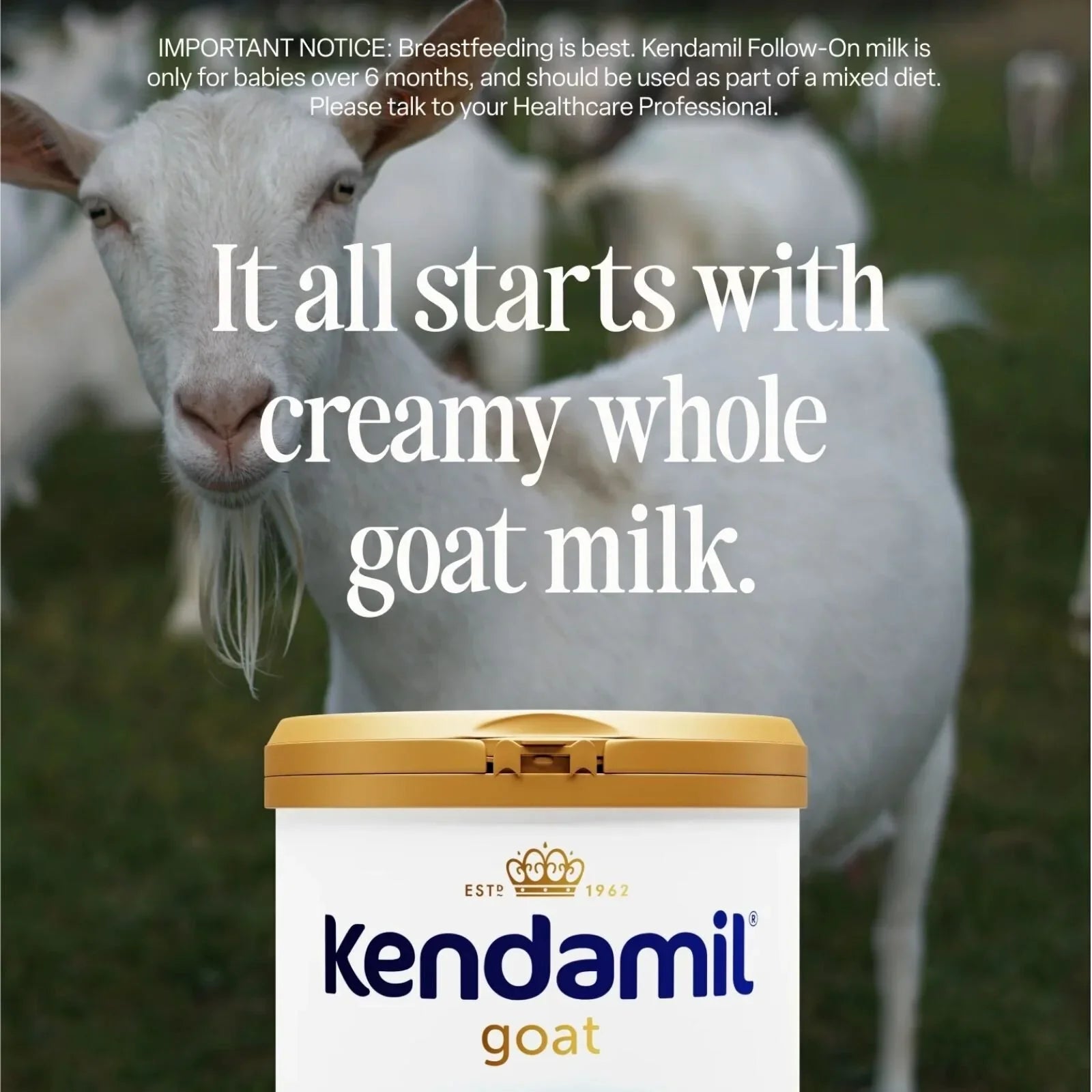 Kendamil Stage 2 Goat Follow-On Milk 6-12 months 800g