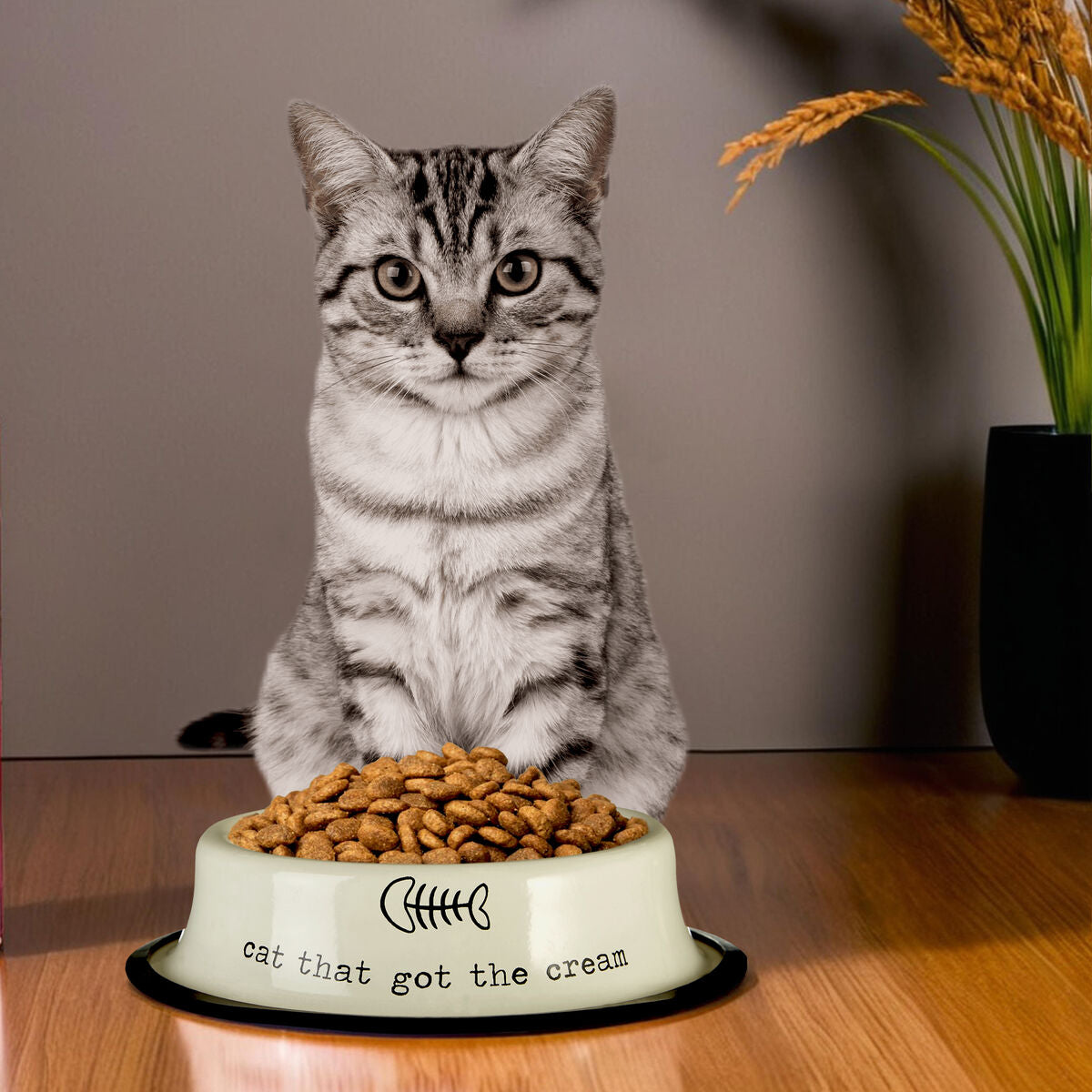 Orsina Adore Pets Cat Bowl – 0.4L Galvanised Steel Feeding Dish
