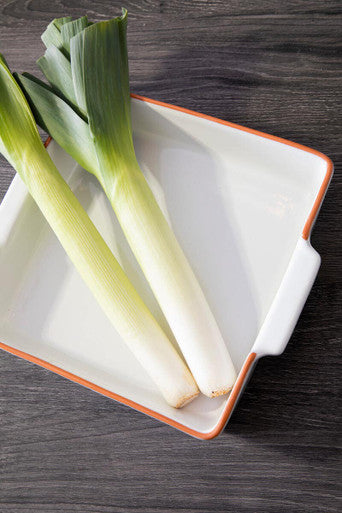 Orsina Calisto Terracotta White Glazed Oven-to-Table Baking Dish