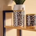 Orsina London Leo Large Stoneware Kitchen Canister with Gold Lid