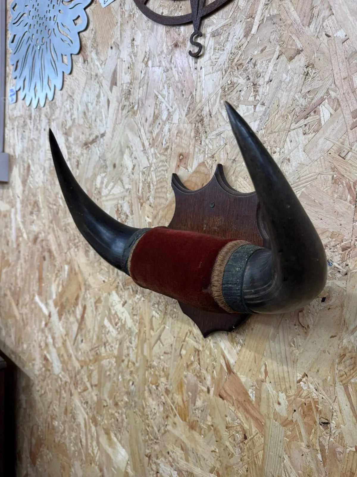 Vintage Buffalo Horns / Mounted Horns / Hat Coat Hooks / Taxidermy Mancave Bar