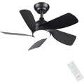 CJOY 30" Ceiling Fan with Light | Quiet DC Motor 5-Blade Modern Fan