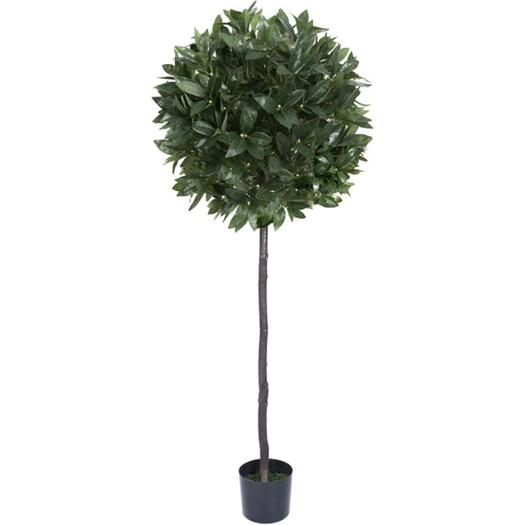 GreenBrokers 5ft Artificial Bay Laurel Tree | UV Protected Faux Plant
