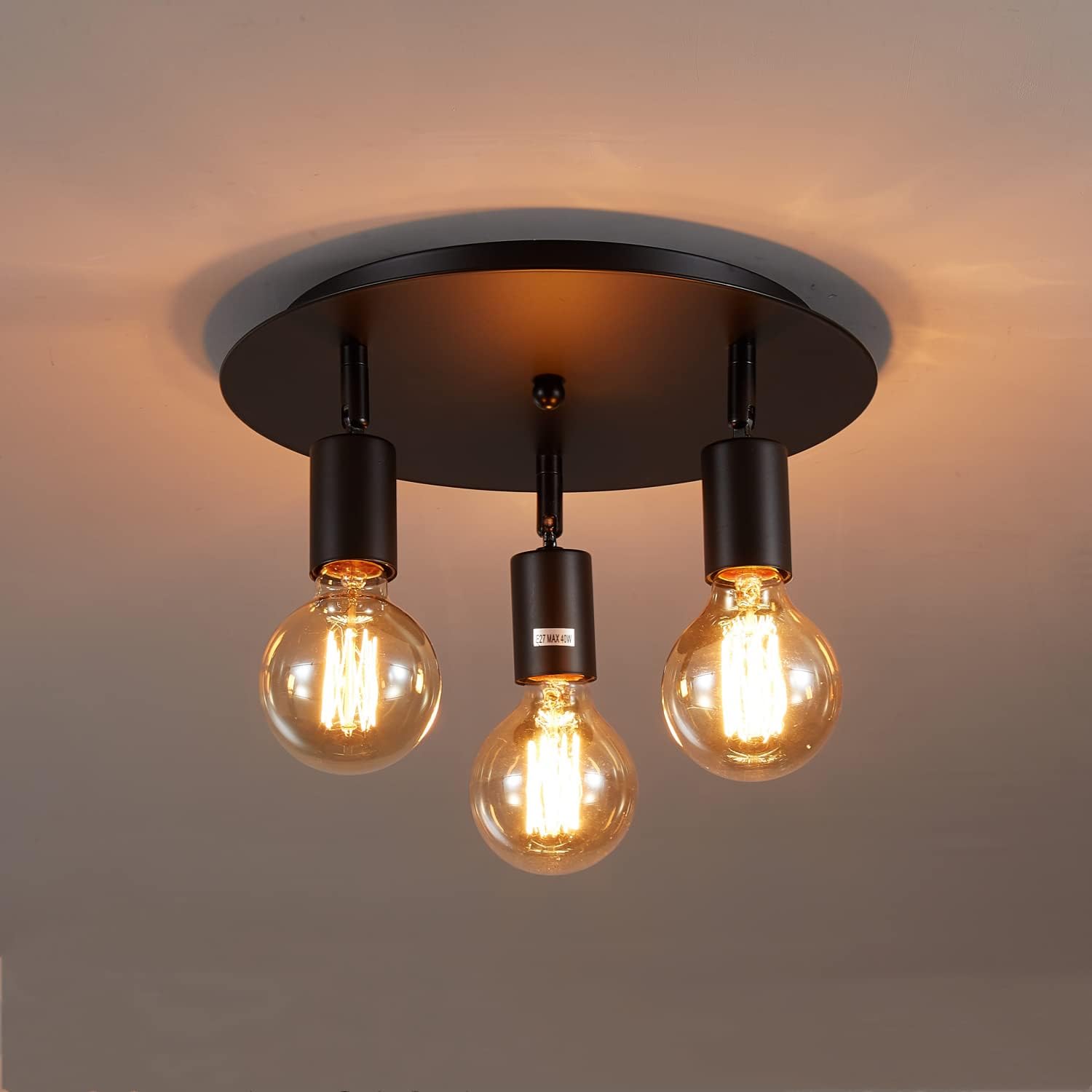 Lightsjoy 3-Way Rotatable Black Ceiling Spot Light | Vintage E27 Metal