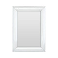Orsina Petillo Rectangular Wall Mirror – Thick Silver Beveled Frame