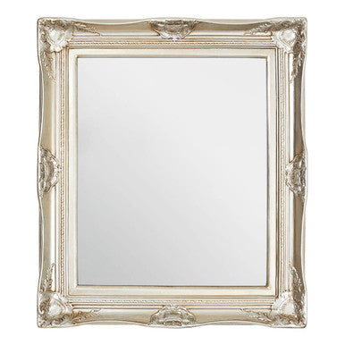 Orsina Adelere Ornate Acanthus Leaf Wall Mirror – Champagne Gold