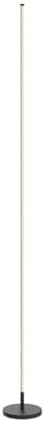 TACAHE Minimalist Corner Floor Lamp | Dimmable LED Mood Light with Remote