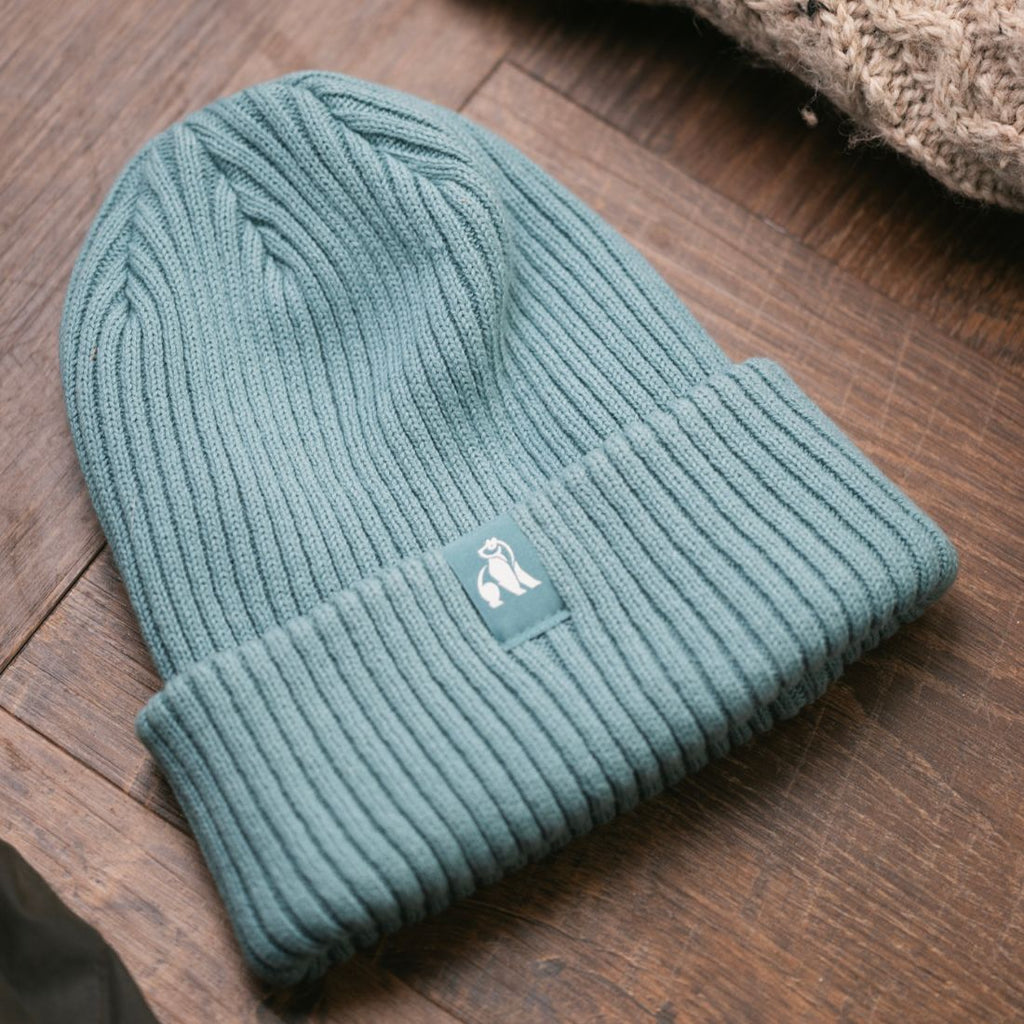 Swole Panda Organic Cotton Beanie – Sustainable Unisex Hat in Turquoise