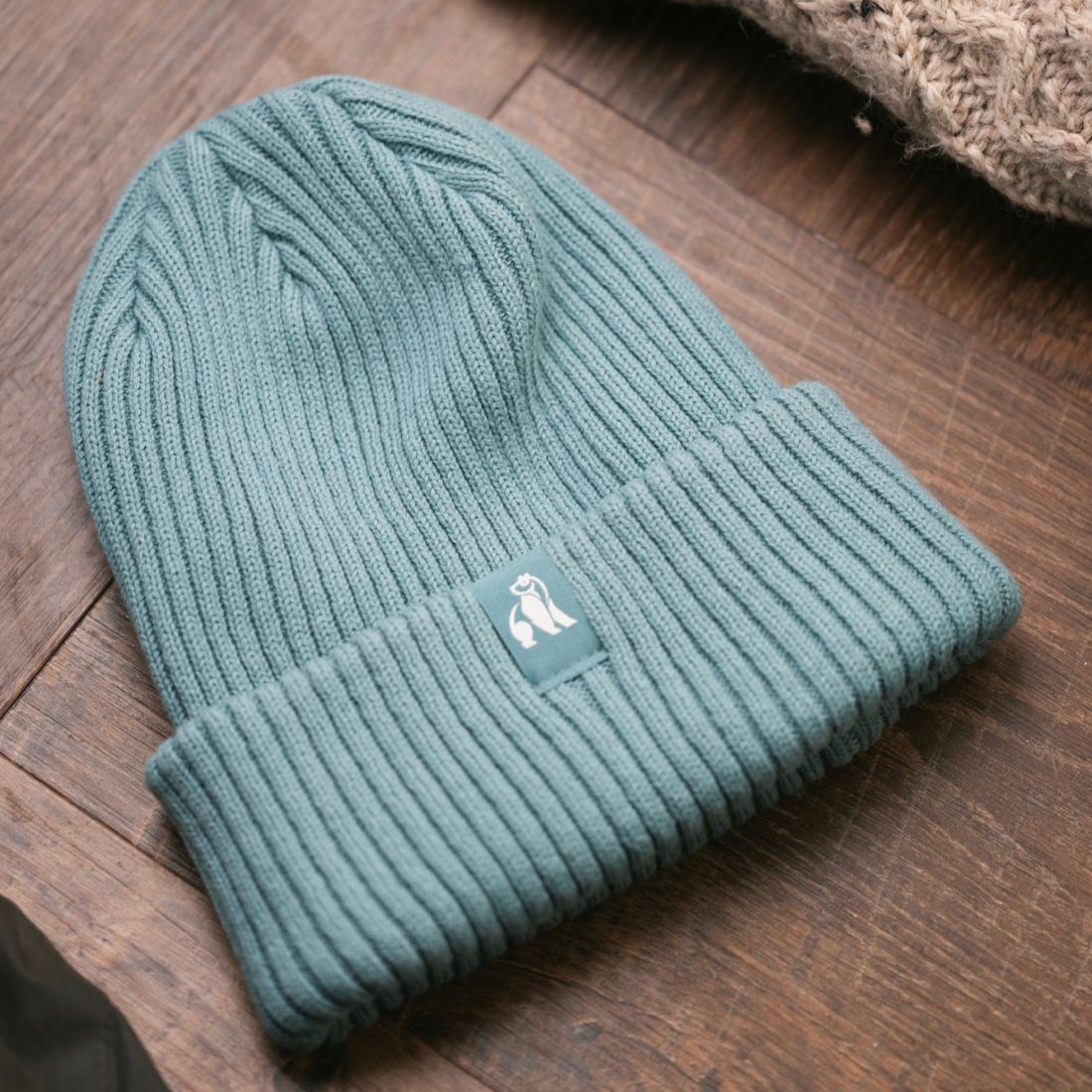 Swole Panda Organic Cotton Beanie – Sustainable Unisex Hat in Turquoise