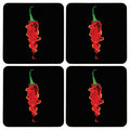 Orsina Cork Drink Coasters – Set of 4 Black and Red Chilli Coasters
