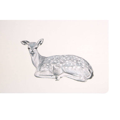 Orsina Effy Reversible Mini Forest Placemats and Coasters – Set of 2