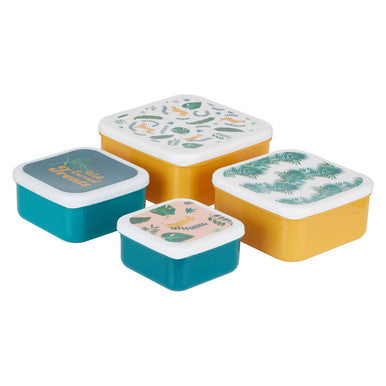 Mimo Winter Palm Lunch Boxes – 4-Piece Nestable Food Storage Set