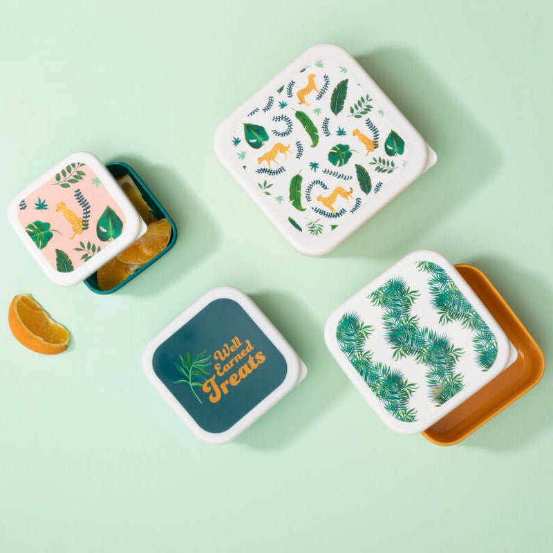 Mimo Winter Palm Lunch Boxes – 4-Piece Nestable Food Storage Set