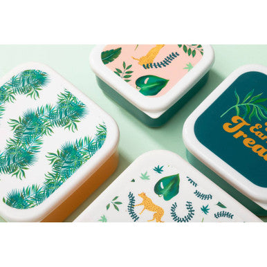 Mimo Winter Palm Lunch Boxes – 4-Piece Nestable Food Storage Set