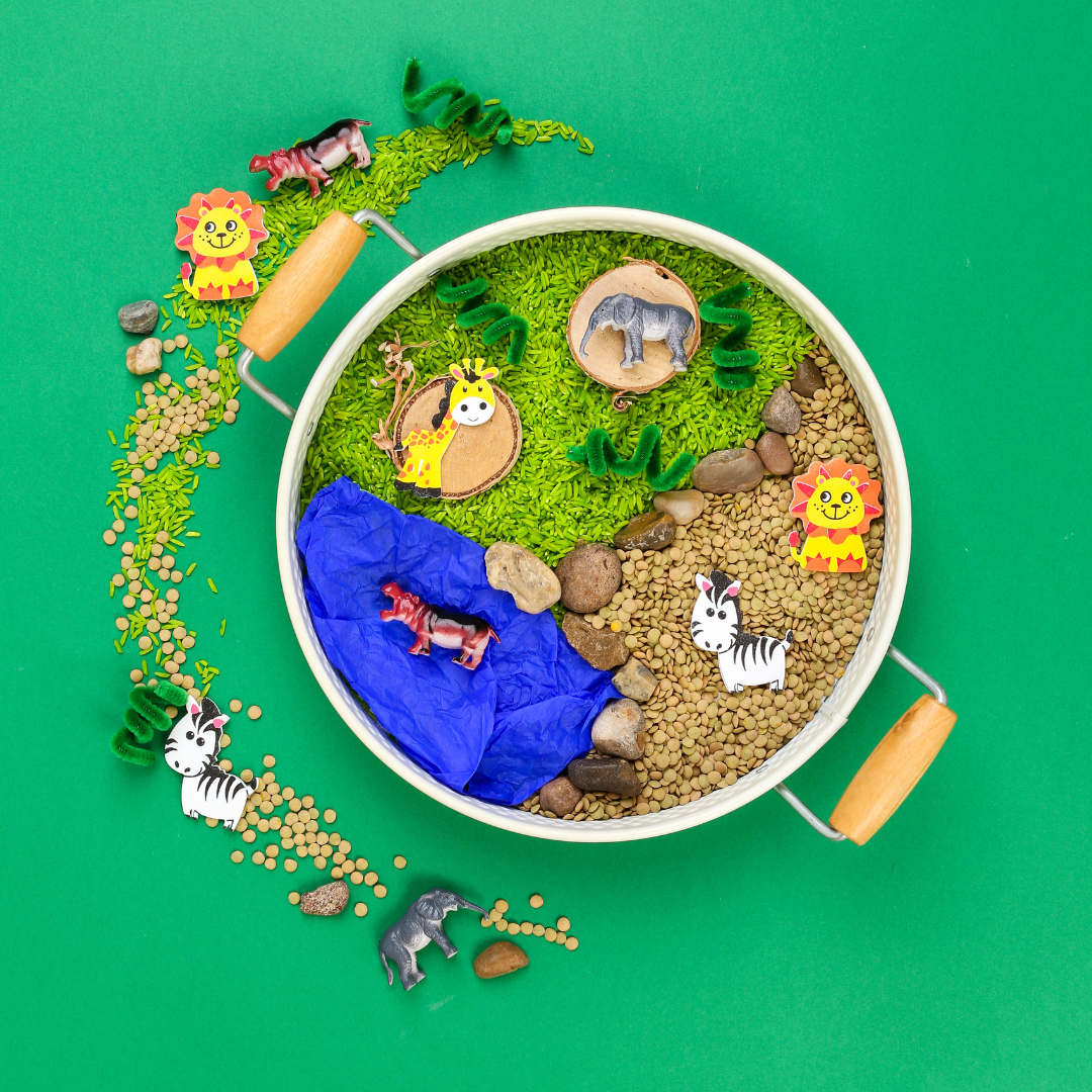 Safari Activity Kit