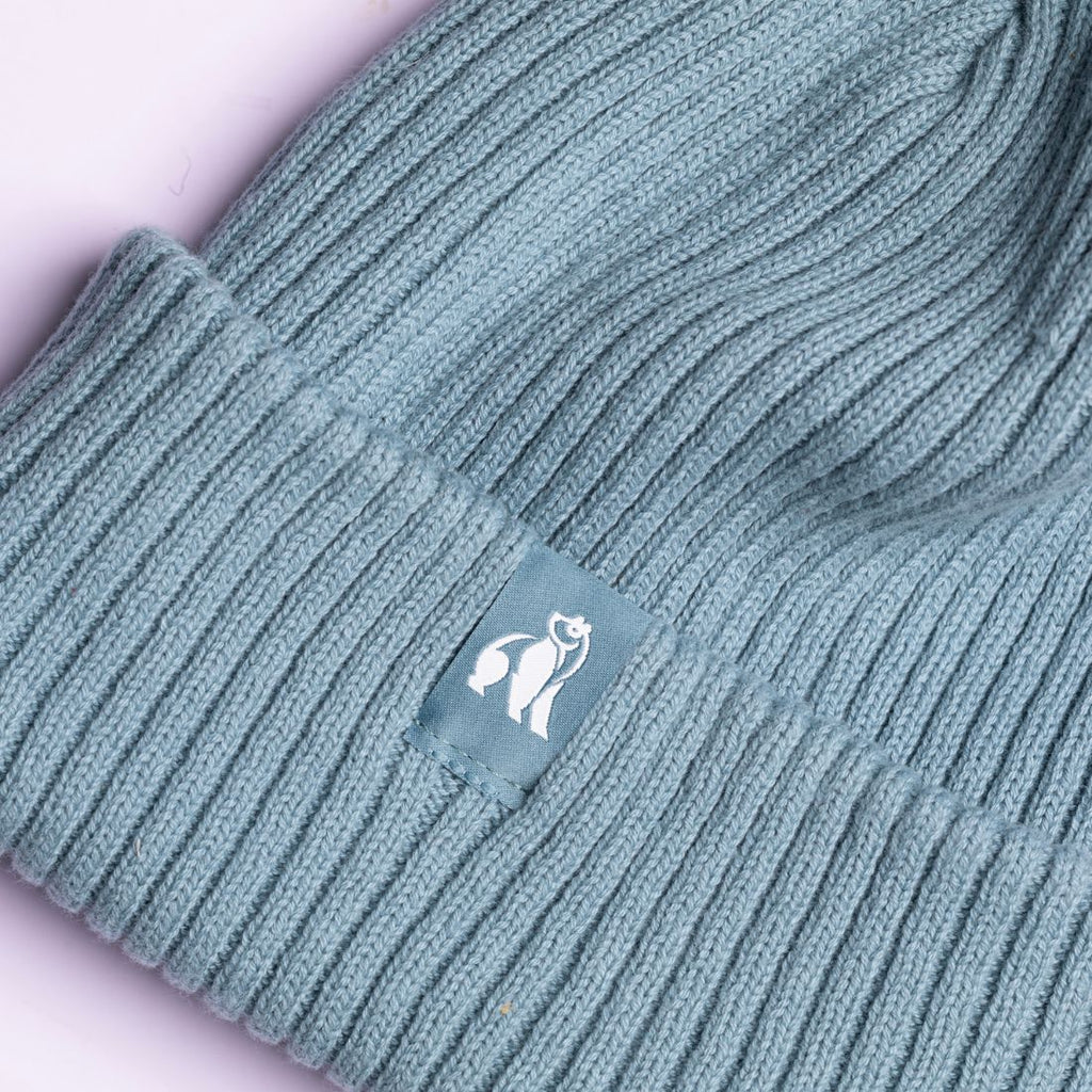 Swole Panda Organic Cotton Beanie – Sustainable Unisex Hat in Turquoise