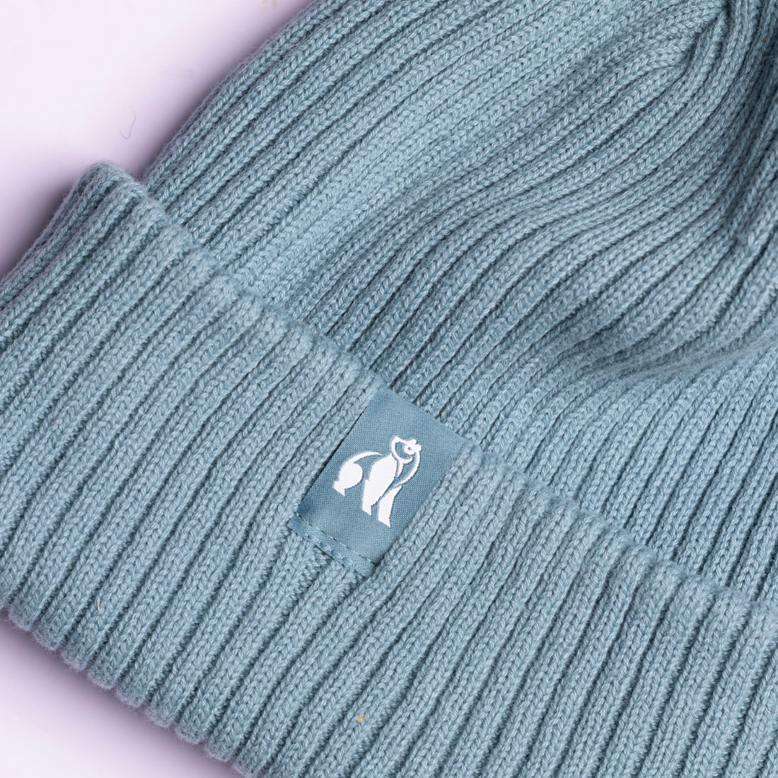 Swole Panda Organic Cotton Beanie – Sustainable Unisex Hat in Turquoise