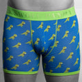 Swole Panda Bamboo Boxers – T-Rex Print Breathable Men's Underwear