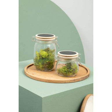 Orsina Appert Glass Storage Jar with Airtight Pine Wood Lid - 500ml