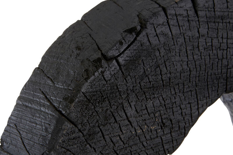 Orsina Fidel Large Mango Wood Sculpture – Rustic Charred Black Art