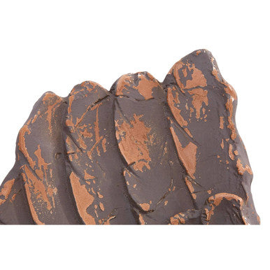 Orsina Plato Wings Wall Decoration – Distressed Brown Fibreglass Art