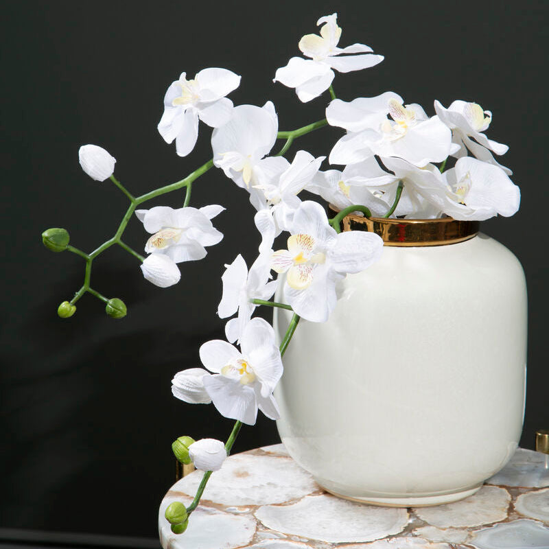 Orsina Stellar White Porcelain Vase with Gold Trim – Modern Decor