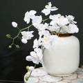 Orsina Stellar White Porcelain Vase with Gold Trim – Modern Decor
