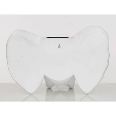 Orsina Boho Elephant Planter | White Resin Succulent Pot for Indoor Decor