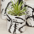 Orsina Sorrell Small Ceramic Planter – Black and White Succulent Pot