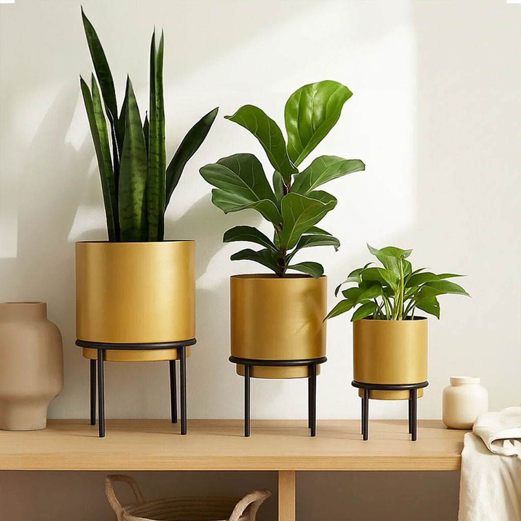 Orsina Avento Gold Finish Metal Planters with Black Stands – Set of 3