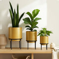 Orsina Avento Gold Finish Metal Planters with Black Stands – Set of 3