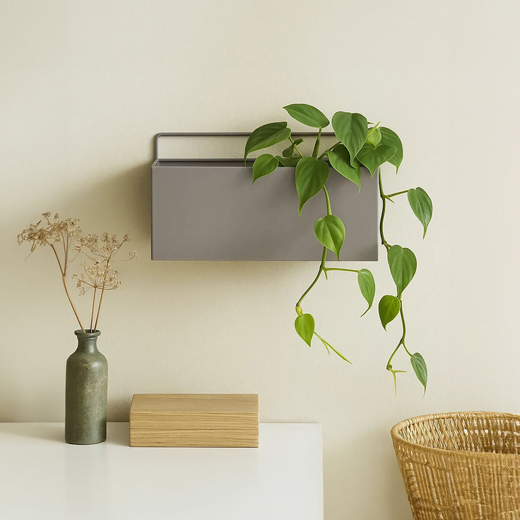 Orsina Asher Wall Plant Box – Grey Powder-Coated Iron Planter