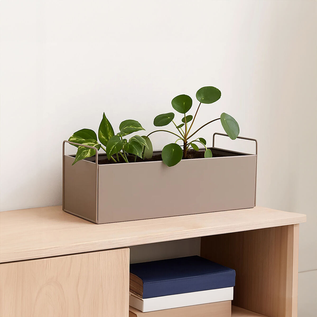 Orsina Asher Large Natural Metal Wall Plant Box – Minimalist Planter