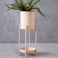 Orsina Asher Two-Tier Metal Plant Stand – Natural Modern Indoor Display
