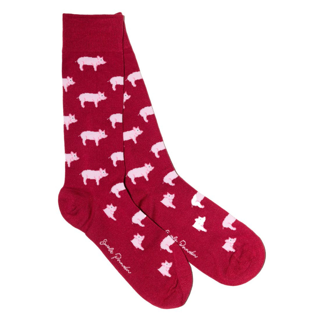 Swole Panda Men's Bamboo Socks Gift Box – Highland Cow & Pig 2-Pack