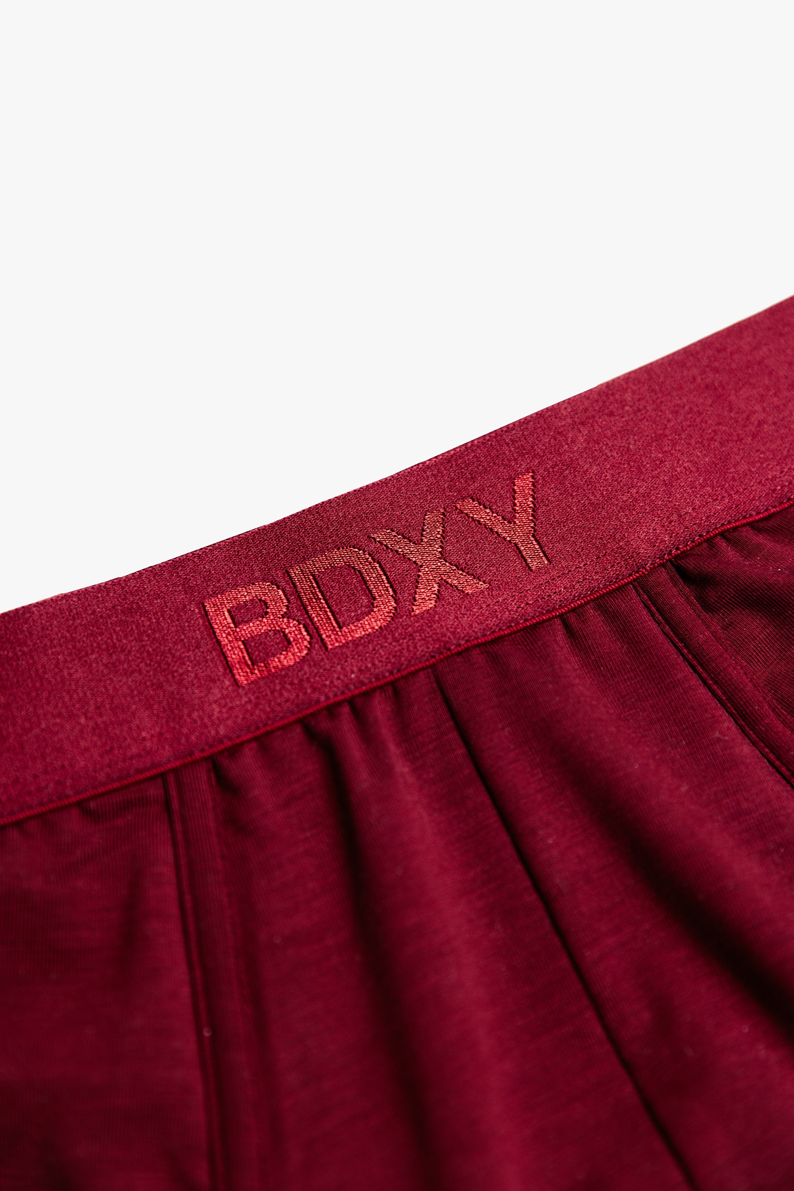 "The Unit" Underwear Brief | Burgundy