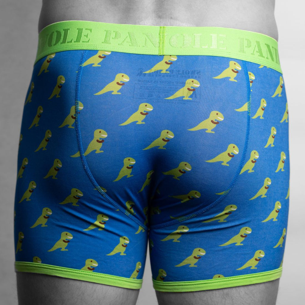 Swole Panda Bamboo Boxers – T-Rex Print Breathable Men's Underwear