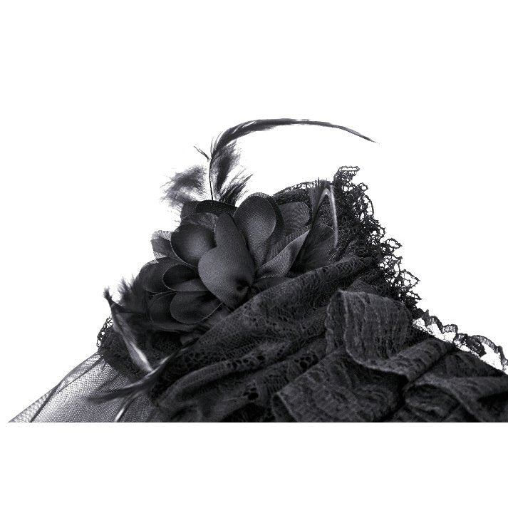 Dark in Love Millicent Black Tulle Feather Gothic Dress with Lace