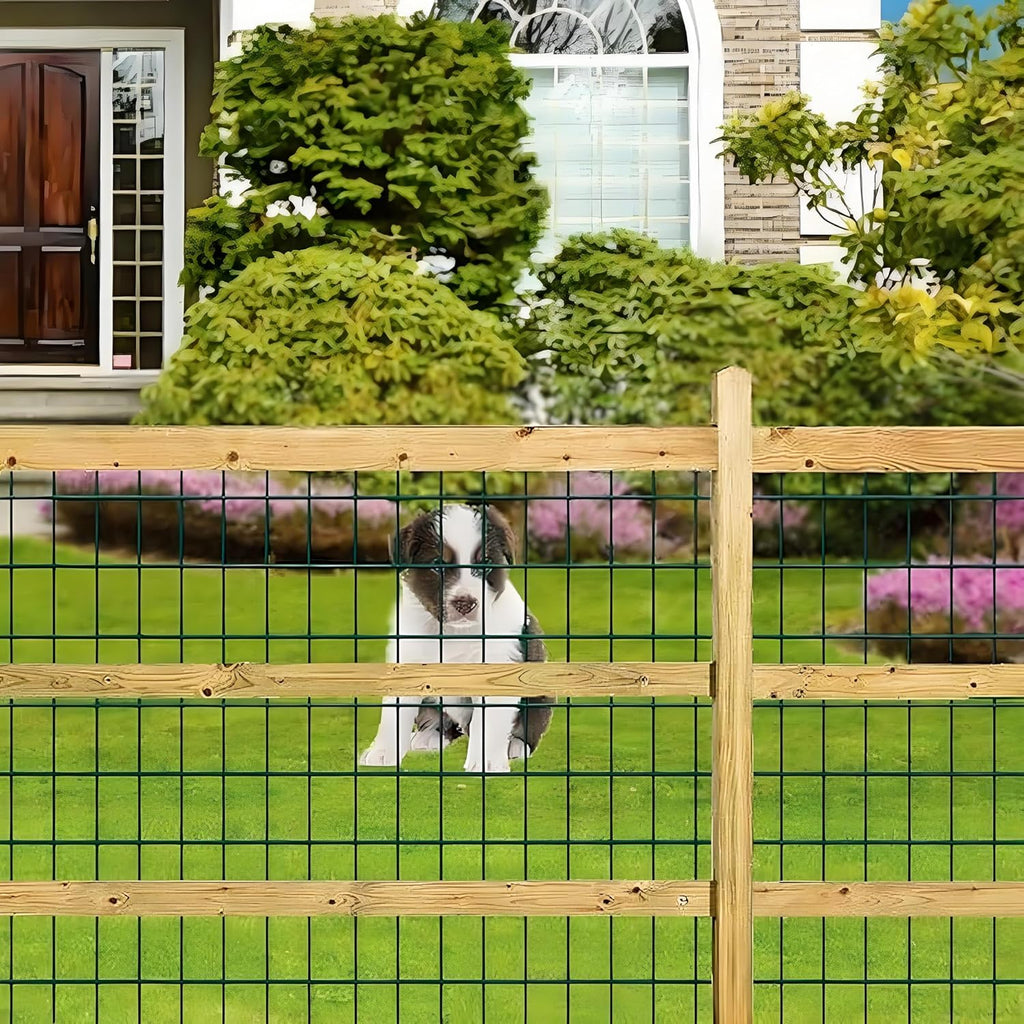 Massive Discounts Green PVC Coated Welded Wire Mesh Garden Fence – 1M x 25M