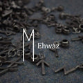 Ehwaz Rune Choker