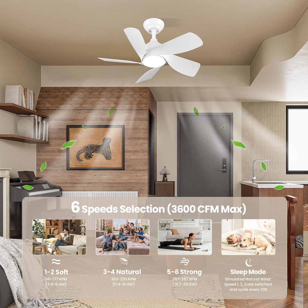 CJOY 30" Ceiling Fan with Light | Quiet DC Motor 5-Blade Modern White Fan