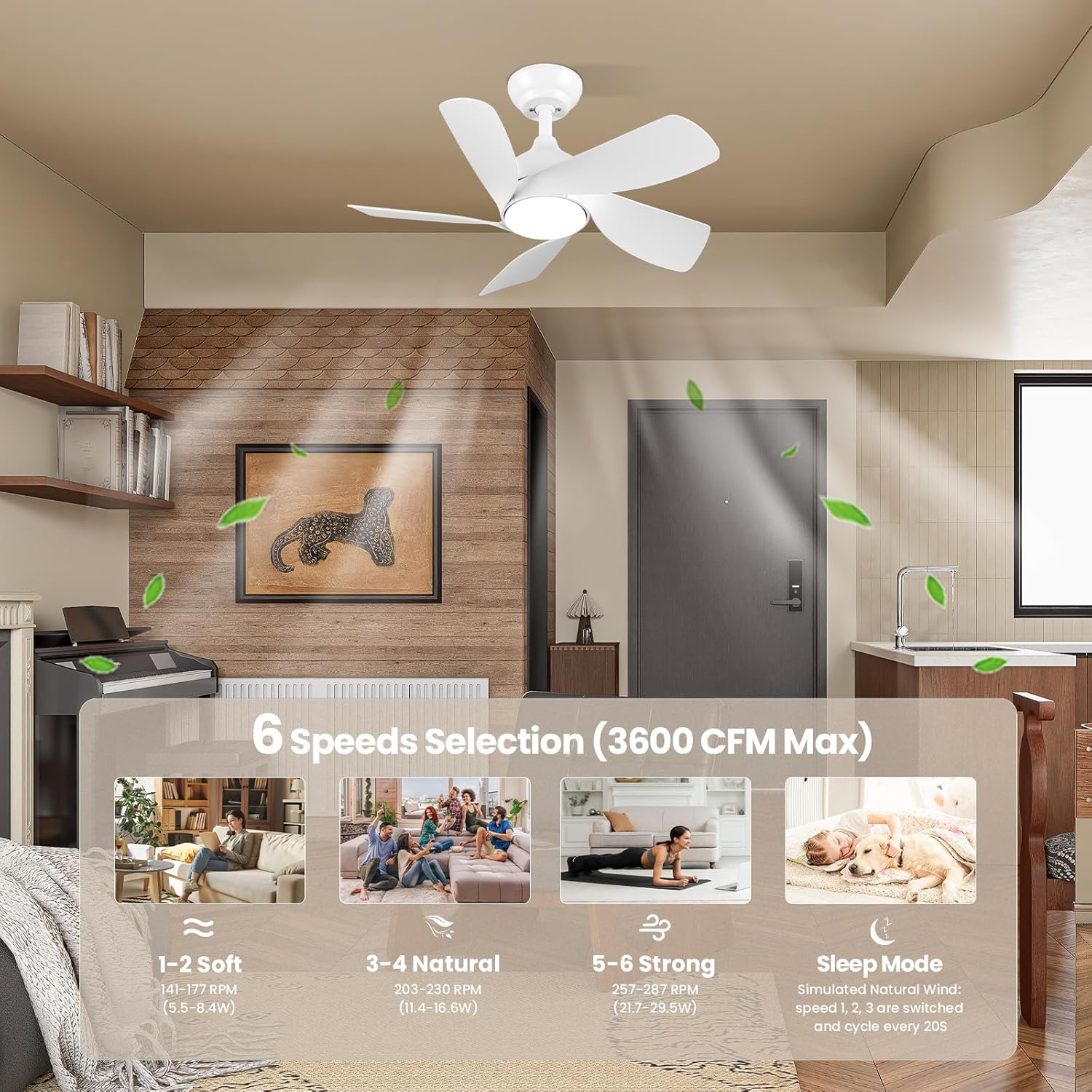 CJOY 30" Ceiling Fan with Light | Quiet DC Motor 5-Blade Modern White Fan