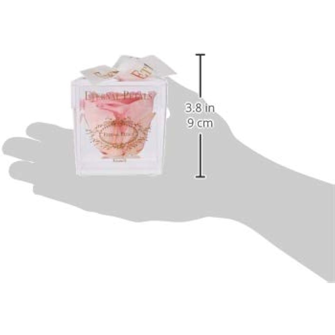 Preserved Pink Infinity Rose – Real Long-Lasting Flower