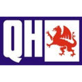 Quinton Hazell Rear Brake Disc | Solid 5-Bolt GEOMET Coated - BDC5423