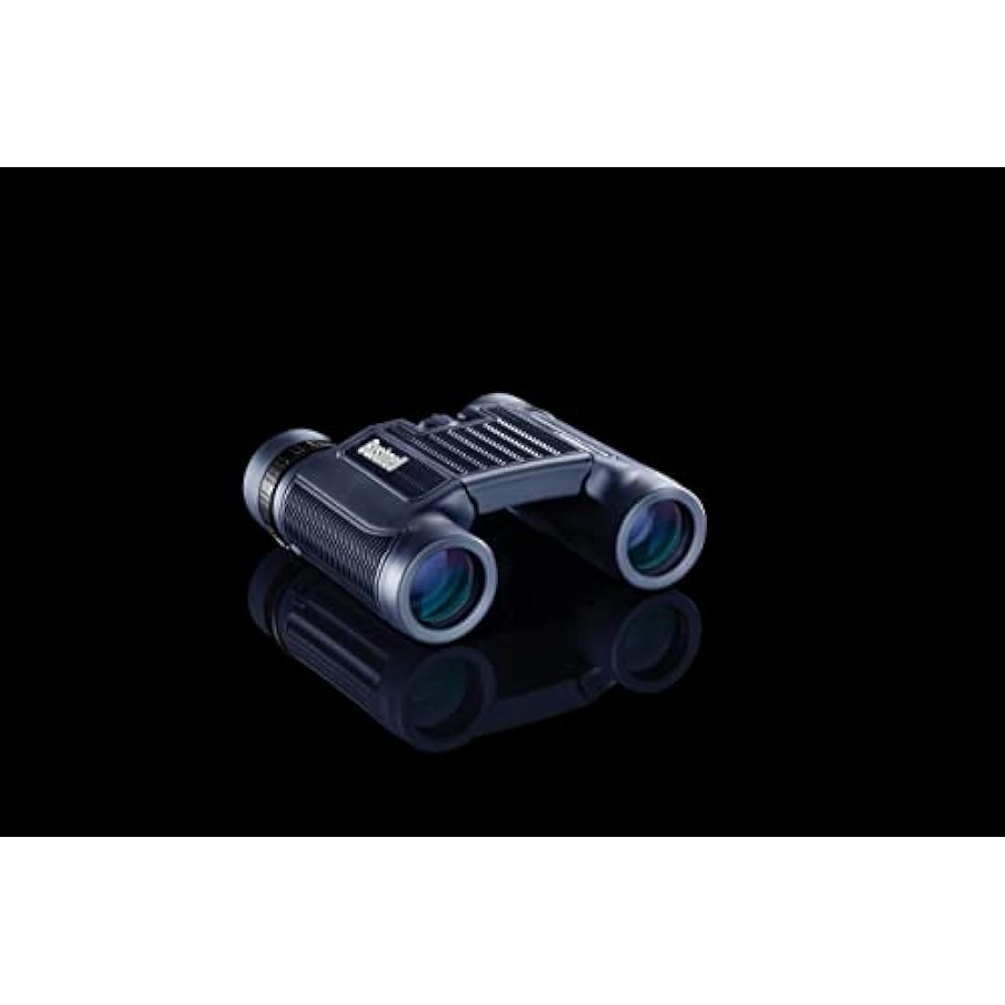 Bushnell H2O 10x25 Compact Binoculars – Waterproof Roof Prism Black