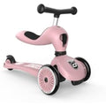 Scoot & Ride Highwaykick 1 – Convertible Kickboard with Seat