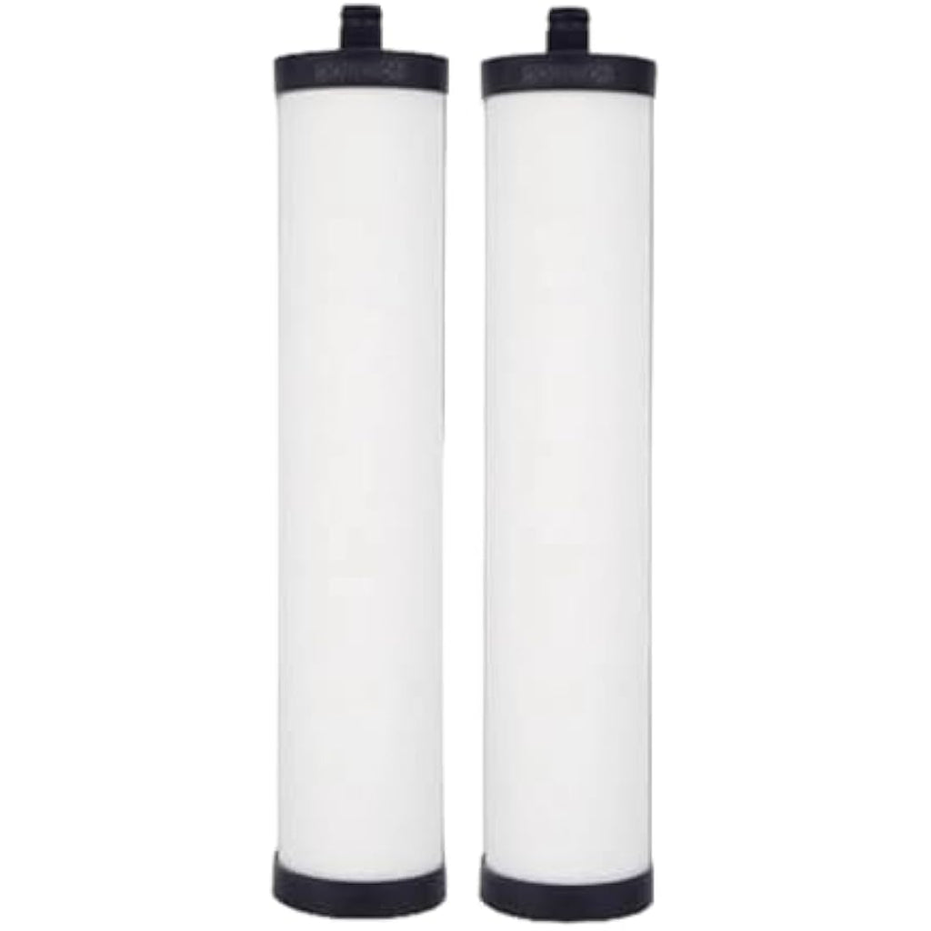 Doulton Ultracarb M15 Ceramic Water Filter 2-Pack for Franke Triflow